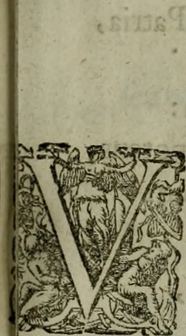 An illustration from Mausoleum potentissimorum ac gloriosissimorum Regni Apostolici regum & primorum militantis Ungariae ducum : vindicatis è mortuali pulvere reliquiis ad gratam apud posteros memoriam, à pIo et IVsto patrIae DoLore ereCtVM : cum versione operis Germanicâ, 1664, leaf 246