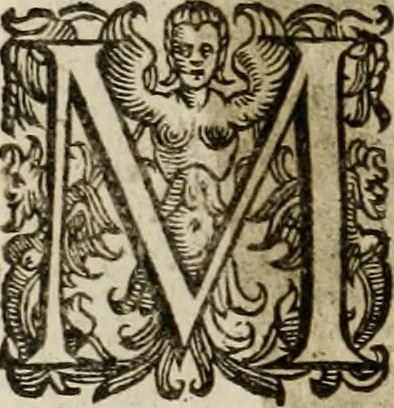 An illustration from Mausoleum potentissimorum ac gloriosissimorum Regni Apostolici regum & primorum militantis Ungariae ducum : vindicatis è mortuali pulvere reliquiis ad gratam apud posteros memoriam, à pIo et IVsto patrIae DoLore ereCtVM : cum versione operis Germanicâ, 1664, leaf 25