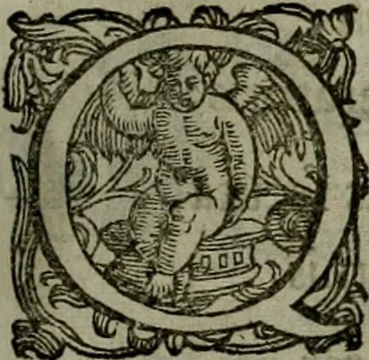 An illustration from Mausoleum potentissimorum ac gloriosissimorum Regni Apostolici regum & primorum militantis Ungariae ducum : vindicatis è mortuali pulvere reliquiis ad gratam apud posteros memoriam, à pIo et IVsto patrIae DoLore ereCtVM : cum versione operis Germanicâ, 1664, leaf 252