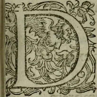An illustration from Mausoleum potentissimorum ac gloriosissimorum Regni Apostolici regum & primorum militantis Ungariae ducum : vindicatis è mortuali pulvere reliquiis ad gratam apud posteros memoriam, à pIo et IVsto patrIae DoLore ereCtVM : cum versione operis Germanicâ, 1664, leaf 262