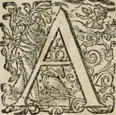An illustration from Mausoleum potentissimorum ac gloriosissimorum Regni Apostolici regum & primorum militantis Ungariae ducum : vindicatis è mortuali pulvere reliquiis ad gratam apud posteros memoriam, à pIo et IVsto patrIae DoLore ereCtVM : cum versione operis Germanicâ, 1664, leaf 269