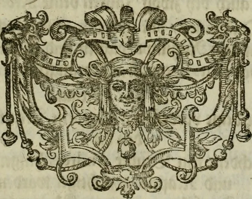 An illustration from Mausoleum potentissimorum ac gloriosissimorum Regni Apostolici regum & primorum militantis Ungariae ducum : vindicatis è mortuali pulvere reliquiis ad gratam apud posteros memoriam, à pIo et IVsto patrIae DoLore ereCtVM : cum versione operis Germanicâ, 1664, leaf 272