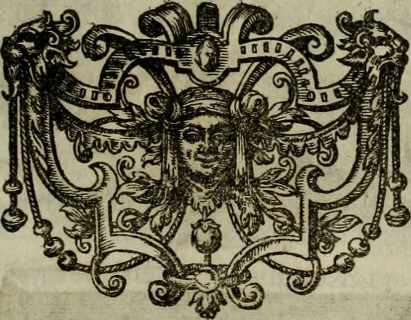 An illustration from Mausoleum potentissimorum ac gloriosissimorum Regni Apostolici regum & primorum militantis Ungariae ducum : vindicatis è mortuali pulvere reliquiis ad gratam apud posteros memoriam, à pIo et IVsto patrIae DoLore ereCtVM : cum versione operis Germanicâ, 1664, leaf 282
