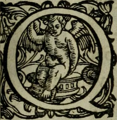 An illustration from Mausoleum potentissimorum ac gloriosissimorum Regni Apostolici regum & primorum militantis Ungariae ducum : vindicatis è mortuali pulvere reliquiis ad gratam apud posteros memoriam, à pIo et IVsto patrIae DoLore ereCtVM : cum versione operis Germanicâ, 1664, leaf 284