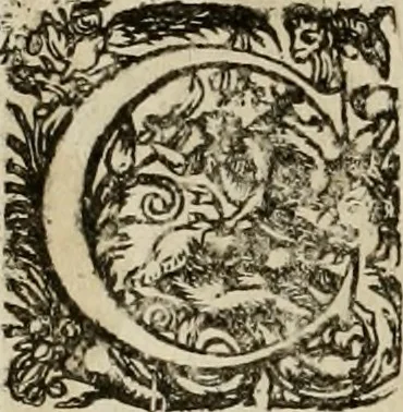 An illustration from Mausoleum potentissimorum ac gloriosissimorum Regni Apostolici regum & primorum militantis Ungariae ducum : vindicatis è mortuali pulvere reliquiis ad gratam apud posteros memoriam, à pIo et IVsto patrIae DoLore ereCtVM : cum versione operis Germanicâ, 1664, leaf 289