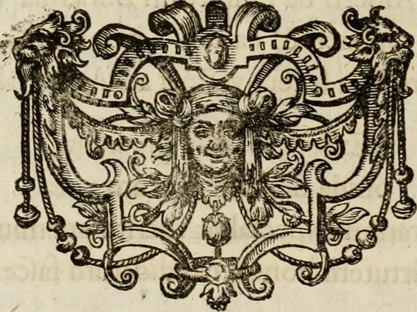 An illustration from Mausoleum potentissimorum ac gloriosissimorum Regni Apostolici regum & primorum militantis Ungariae ducum : vindicatis è mortuali pulvere reliquiis ad gratam apud posteros memoriam, à pIo et IVsto patrIae DoLore ereCtVM : cum versione operis Germanicâ, 1664, leaf 299