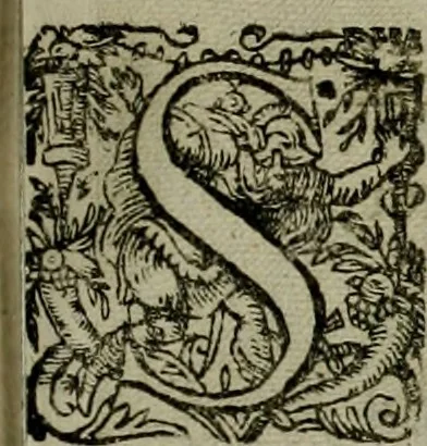 An illustration from Mausoleum potentissimorum ac gloriosissimorum Regni Apostolici regum & primorum militantis Ungariae ducum : vindicatis è mortuali pulvere reliquiis ad gratam apud posteros memoriam, à pIo et IVsto patrIae DoLore ereCtVM : cum versione operis Germanicâ, 1664, leaf 304