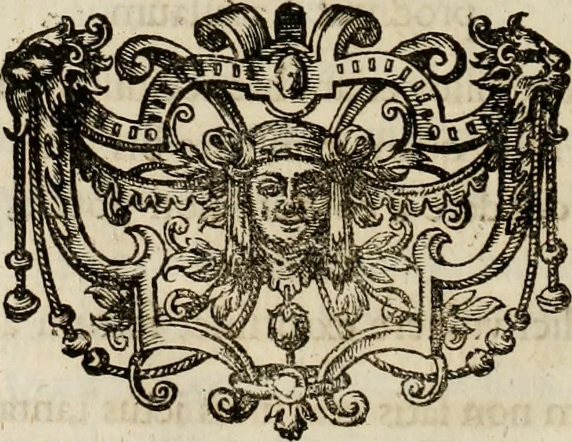 An illustration from Mausoleum potentissimorum ac gloriosissimorum Regni Apostolici regum & primorum militantis Ungariae ducum : vindicatis è mortuali pulvere reliquiis ad gratam apud posteros memoriam, à pIo et IVsto patrIae DoLore ereCtVM : cum versione operis Germanicâ, 1664, leaf 307