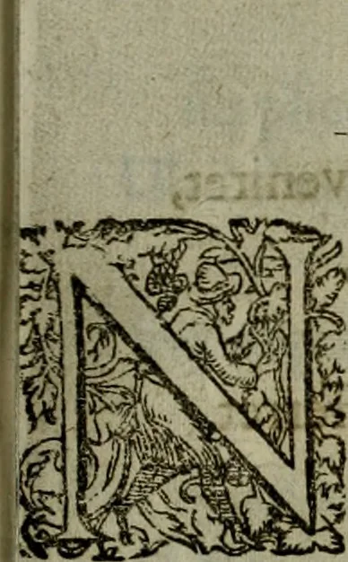 An illustration from Mausoleum potentissimorum ac gloriosissimorum Regni Apostolici regum & primorum militantis Ungariae ducum : vindicatis è mortuali pulvere reliquiis ad gratam apud posteros memoriam, à pIo et IVsto patrIae DoLore ereCtVM : cum versione operis Germanicâ, 1664, leaf 312