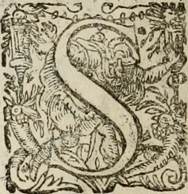 An illustration from Mausoleum potentissimorum ac gloriosissimorum Regni Apostolici regum & primorum militantis Ungariae ducum : vindicatis è mortuali pulvere reliquiis ad gratam apud posteros memoriam, à pIo et IVsto patrIae DoLore ereCtVM : cum versione operis Germanicâ, 1664, leaf 319