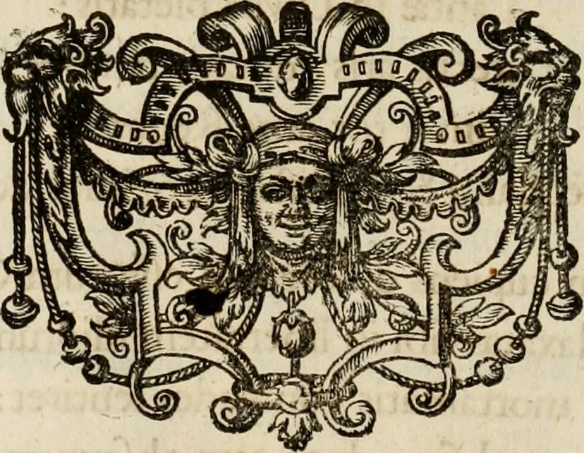 An illustration from Mausoleum potentissimorum ac gloriosissimorum Regni Apostolici regum & primorum militantis Ungariae ducum : vindicatis è mortuali pulvere reliquiis ad gratam apud posteros memoriam, à pIo et IVsto patrIae DoLore ereCtVM : cum versione operis Germanicâ, 1664, leaf 323