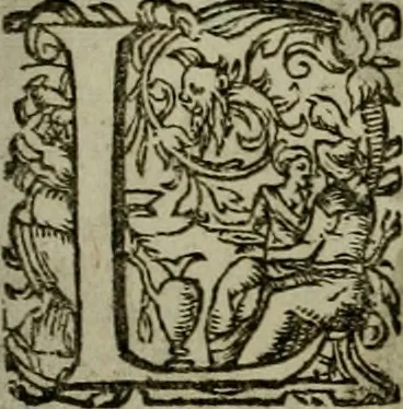 An illustration from Mausoleum potentissimorum ac gloriosissimorum Regni Apostolici regum & primorum militantis Ungariae ducum : vindicatis è mortuali pulvere reliquiis ad gratam apud posteros memoriam, à pIo et IVsto patrIae DoLore ereCtVM : cum versione operis Germanicâ, 1664, leaf 330