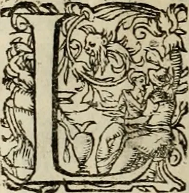 An illustration from Mausoleum potentissimorum ac gloriosissimorum Regni Apostolici regum & primorum militantis Ungariae ducum : vindicatis è mortuali pulvere reliquiis ad gratam apud posteros memoriam, à pIo et IVsto patrIae DoLore ereCtVM : cum versione operis Germanicâ, 1664, leaf 343