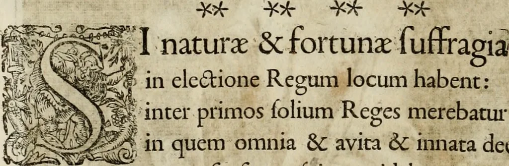An illustration from Mausoleum potentissimorum ac gloriosissimorum Regni Apostolici regum & primorum militantis Ungariae ducum : vindicatis è mortuali pulvere reliquiis ad gratam apud posteros memoriam, à pIo et IVsto patrIae DoLore ereCtVM : cum versione operis Germanicâ, 1664, leaf 355