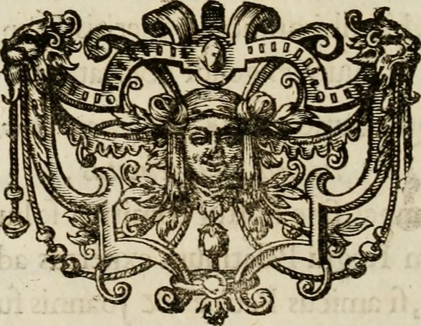 An illustration from Mausoleum potentissimorum ac gloriosissimorum Regni Apostolici regum & primorum militantis Ungariae ducum : vindicatis è mortuali pulvere reliquiis ad gratam apud posteros memoriam, à pIo et IVsto patrIae DoLore ereCtVM : cum versione operis Germanicâ, 1664, leaf 357