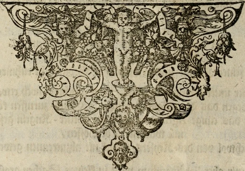 An illustration from Mausoleum potentissimorum ac gloriosissimorum Regni Apostolici regum & primorum militantis Ungariae ducum : vindicatis è mortuali pulvere reliquiis ad gratam apud posteros memoriam, à pIo et IVsto patrIae DoLore ereCtVM : cum versione operis Germanicâ, 1664, leaf 369