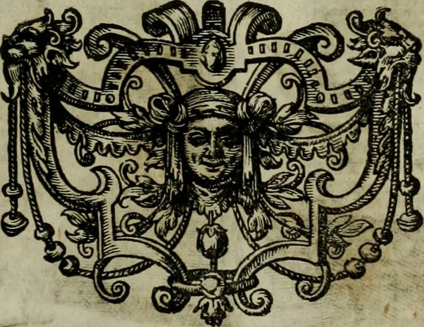 An illustration from Mausoleum potentissimorum ac gloriosissimorum Regni Apostolici regum & primorum militantis Ungariae ducum : vindicatis è mortuali pulvere reliquiis ad gratam apud posteros memoriam, à pIo et IVsto patrIae DoLore ereCtVM : cum versione operis Germanicâ, 1664, leaf 382