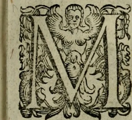An illustration from Mausoleum potentissimorum ac gloriosissimorum Regni Apostolici regum & primorum militantis Ungariae ducum : vindicatis è mortuali pulvere reliquiis ad gratam apud posteros memoriam, à pIo et IVsto patrIae DoLore ereCtVM : cum versione operis Germanicâ, 1664, leaf 384