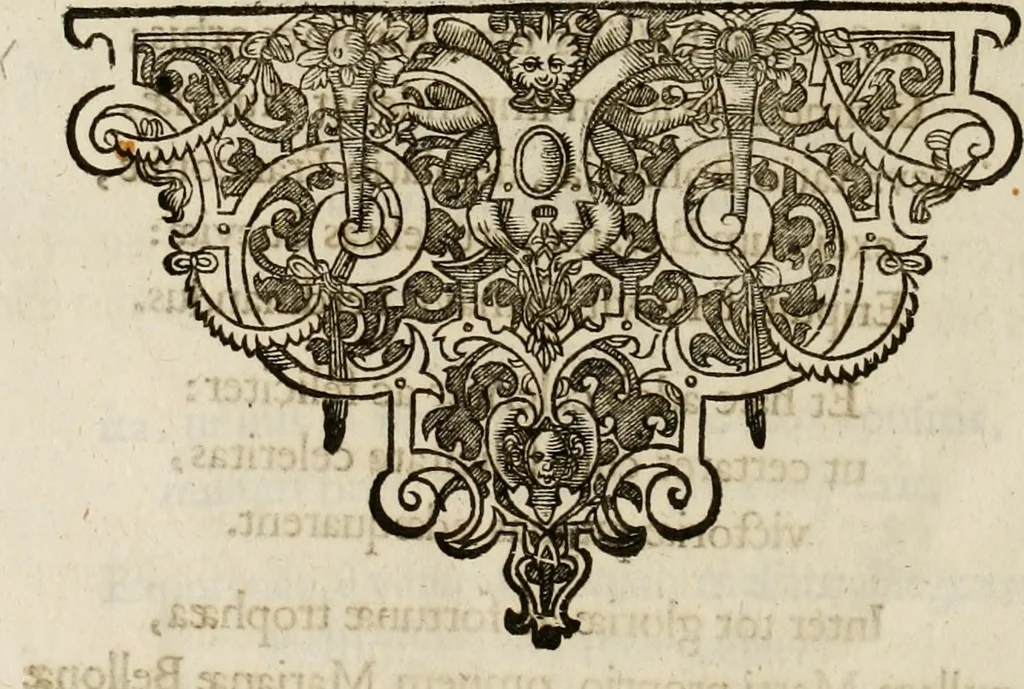 An illustration from Mausoleum potentissimorum ac gloriosissimorum Regni Apostolici regum & primorum militantis Ungariae ducum : vindicatis è mortuali pulvere reliquiis ad gratam apud posteros memoriam, à pIo et IVsto patrIae DoLore ereCtVM : cum versione operis Germanicâ, 1664, leaf 409