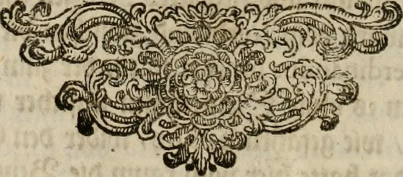 An illustration from Mausoleum potentissimorum ac gloriosissimorum Regni Apostolici regum & primorum militantis Ungariae ducum : vindicatis è mortuali pulvere reliquiis ad gratam apud posteros memoriam, à pIo et IVsto patrIae DoLore ereCtVM : cum versione operis Germanicâ, 1664, leaf 413