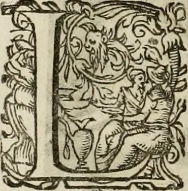 An illustration from Mausoleum potentissimorum ac gloriosissimorum Regni Apostolici regum & primorum militantis Ungariae ducum : vindicatis è mortuali pulvere reliquiis ad gratam apud posteros memoriam, à pIo et IVsto patrIae DoLore ereCtVM : cum versione operis Germanicâ, 1664, leaf 415