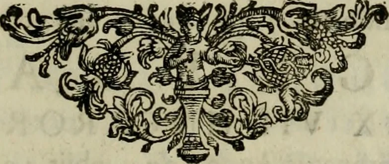 An illustration from Mausoleum potentissimorum ac gloriosissimorum Regni Apostolici regum & primorum militantis Ungariae ducum : vindicatis è mortuali pulvere reliquiis ad gratam apud posteros memoriam, à pIo et IVsto patrIae DoLore ereCtVM : cum versione operis Germanicâ, 1664, leaf 420