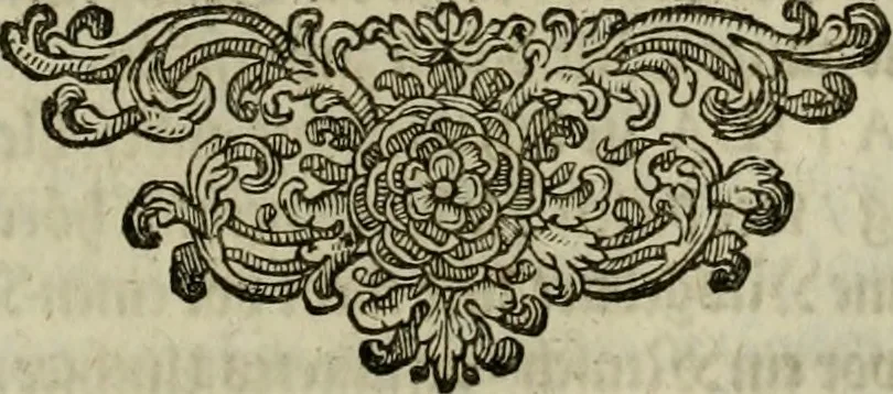 An illustration from Mausoleum potentissimorum ac gloriosissimorum Regni Apostolici regum & primorum militantis Ungariae ducum : vindicatis è mortuali pulvere reliquiis ad gratam apud posteros memoriam, à pIo et IVsto patrIae DoLore ereCtVM : cum versione operis Germanicâ, 1664, leaf 48