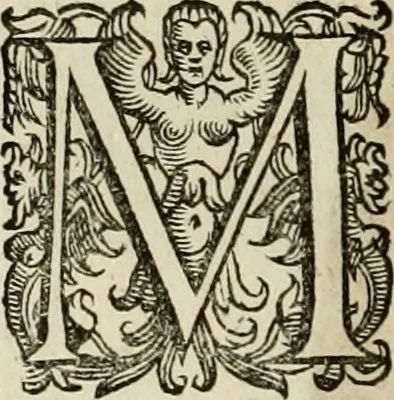 An illustration from Mausoleum potentissimorum ac gloriosissimorum Regni Apostolici regum & primorum militantis Ungariae ducum : vindicatis è mortuali pulvere reliquiis ad gratam apud posteros memoriam, à pIo et IVsto patrIae DoLore ereCtVM : cum versione operis Germanicâ, 1664, leaf 71