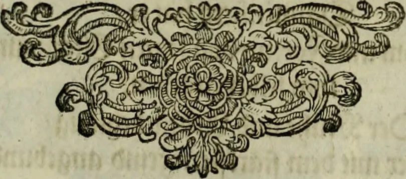 An illustration from Mausoleum potentissimorum ac gloriosissimorum Regni Apostolici regum & primorum militantis Ungariae ducum : vindicatis è mortuali pulvere reliquiis ad gratam apud posteros memoriam, à pIo et IVsto patrIae DoLore ereCtVM : cum versione operis Germanicâ, 1664, leaf 72