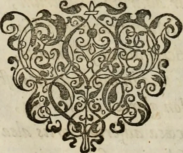 An illustration from Mausoleum potentissimorum ac gloriosissimorum Regni Apostolici regum & primorum militantis Ungariae ducum : vindicatis è mortuali pulvere reliquiis ad gratam apud posteros memoriam, à pIo et IVsto patrIae DoLore ereCtVM : cum versione operis Germanicâ, 1664, leaf 77