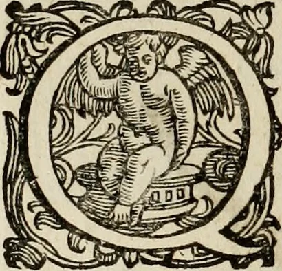 An illustration from Mausoleum potentissimorum ac gloriosissimorum Regni Apostolici regum & primorum militantis Ungariae ducum : vindicatis è mortuali pulvere reliquiis ad gratam apud posteros memoriam, à pIo et IVsto patrIae DoLore ereCtVM : cum versione operis Germanicâ, 1664, leaf 81