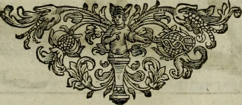 An illustration from Mausoleum potentissimorum ac gloriosissimorum Regni Apostolici regum & primorum militantis Ungariae ducum : vindicatis è mortuali pulvere reliquiis ad gratam apud posteros memoriam, à pIo et IVsto patrIae DoLore ereCtVM : cum versione operis Germanicâ, 1664, leaf 84