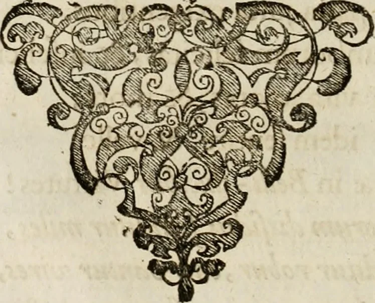 An illustration from Mausoleum potentissimorum ac gloriosissimorum Regni Apostolici regum & primorum militantis Ungariae ducum : vindicatis è mortuali pulvere reliquiis ad gratam apud posteros memoriam, à pIo et IVsto patrIae DoLore ereCtVM : cum versione operis Germanicâ, 1664, leaf 87