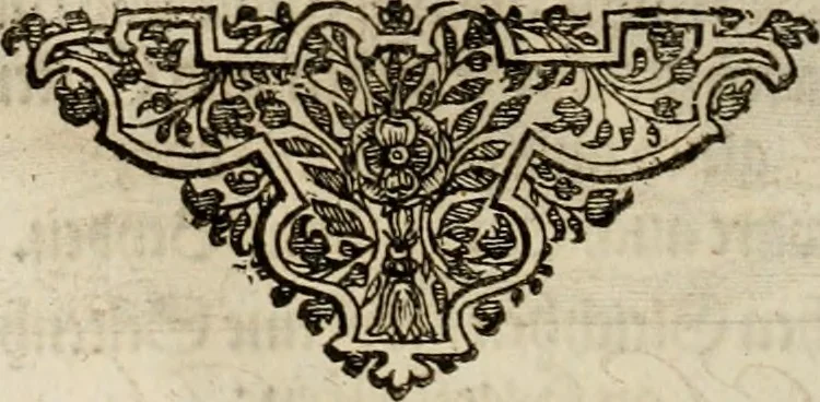 An illustration from Mausoleum potentissimorum ac gloriosissimorum Regni Apostolici regum & primorum militantis Ungariae ducum : vindicatis è mortuali pulvere reliquiis ad gratam apud posteros memoriam, à pIo et IVsto patrIae DoLore ereCtVM : cum versione operis Germanicâ, 1664, leaf 89