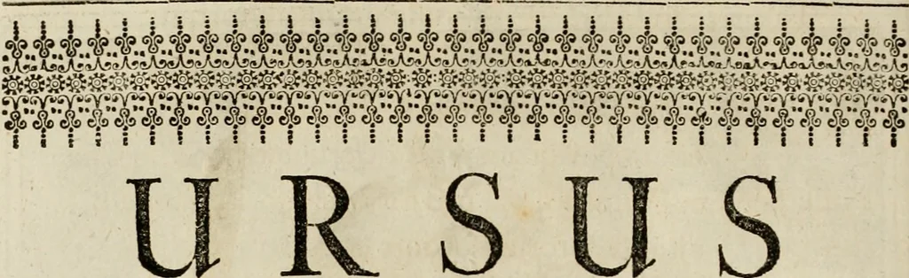 An illustration from Mausoleum potentissimorum ac gloriosissimorum Regni Apostolici regum & primorum militantis Ungariae ducum : vindicatis è mortuali pulvere reliquiis ad gratam apud posteros memoriam, à pIo et IVsto patrIae DoLore ereCtVM : cum versione operis Germanicâ, 1664, leaf 91
