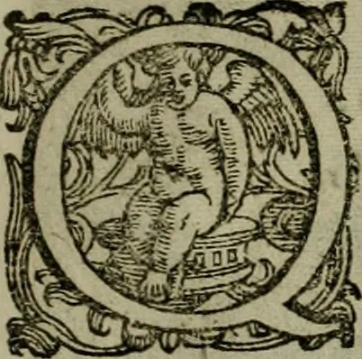 An illustration from Mausoleum potentissimorum ac gloriosissimorum Regni Apostolici regum & primorum militantis Ungariae ducum : vindicatis è mortuali pulvere reliquiis ad gratam apud posteros memoriam, à pIo et IVsto patrIae DoLore ereCtVM : cum versione operis Germanicâ, 1664, leaf 96
