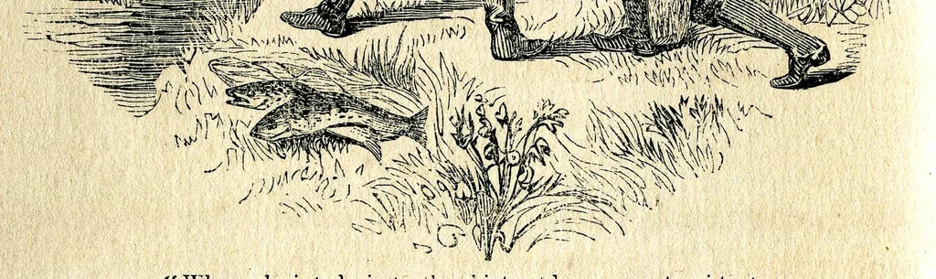 An illustration from Maxims and hints on angling, chess, shooting, and other matters;1855, 1855, leaf 31