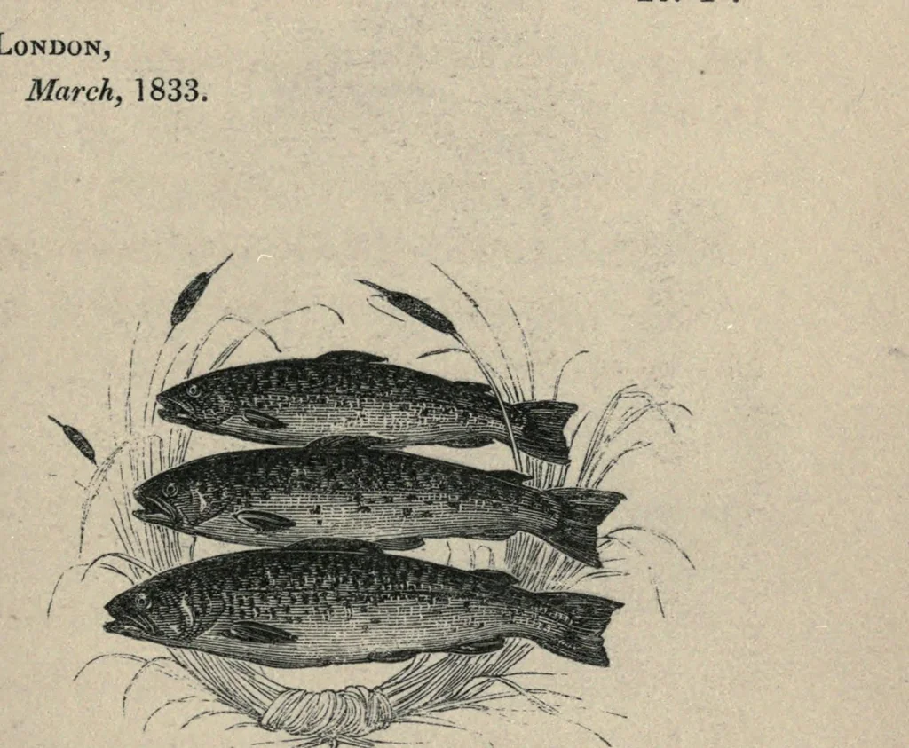 An illustration from Maxims and hints on angling, chess, shooting, and other matters : also, miseries of fishing ; with wood-cuts, 1842, leaf 65