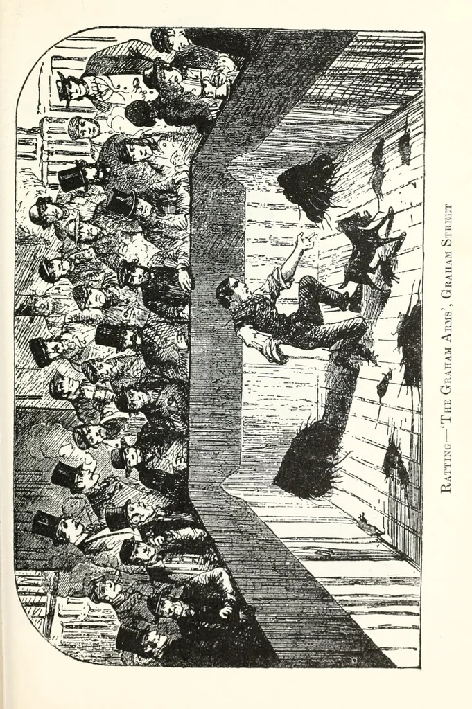 An illustration from Mayhew's London; being selections from 'London labour and the London poor' (which was first published in 1851), 1651, leaf 467