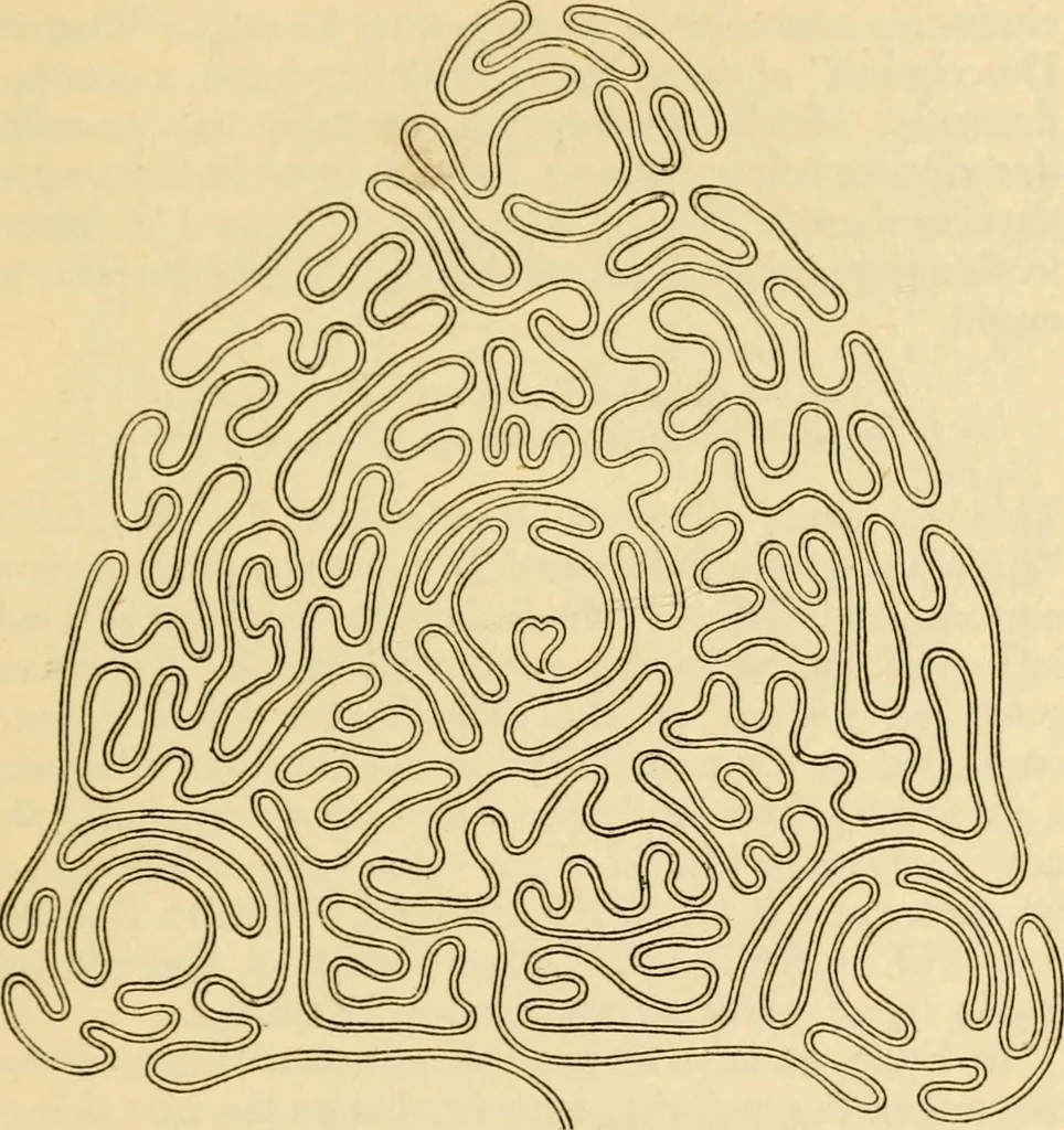 An illustration from Mazes and labyrinths : a general account of their history and developments, 1922, leaf 140