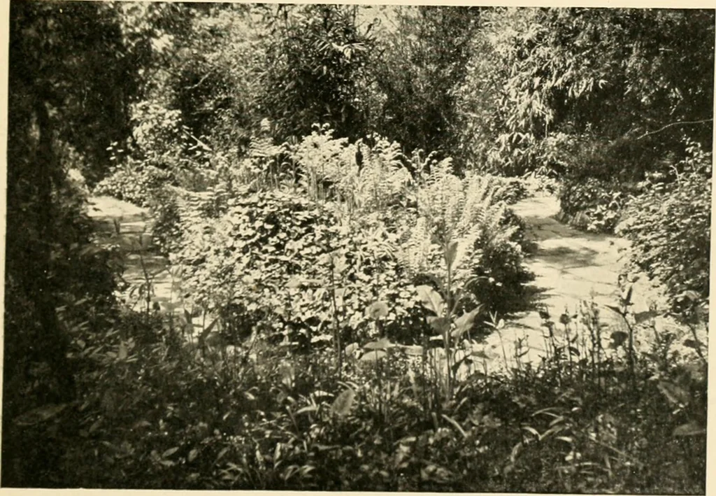An illustration from Mazes and labyrinths : a general account of their history and developments, 1922, leaf 204