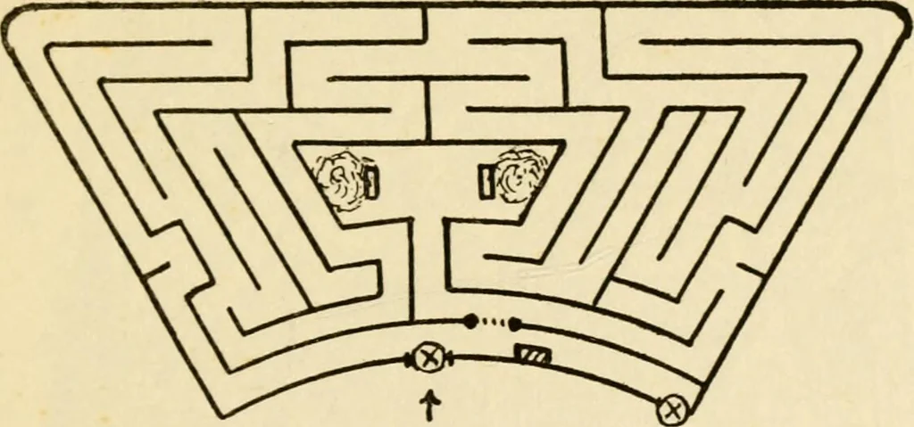 An illustration from Mazes and labyrinths : a general account of their history and developments, 1922, leaf 206