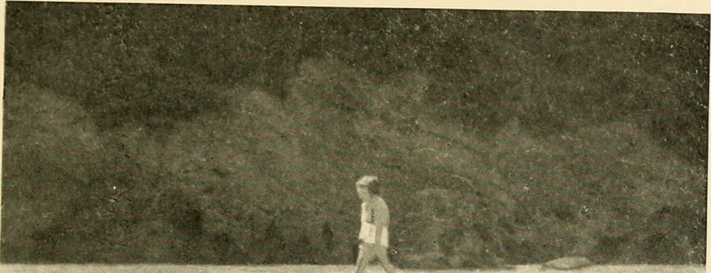 An illustration from Mazes and labyrinths : a general account of their history and developments, 1922, leaf 294