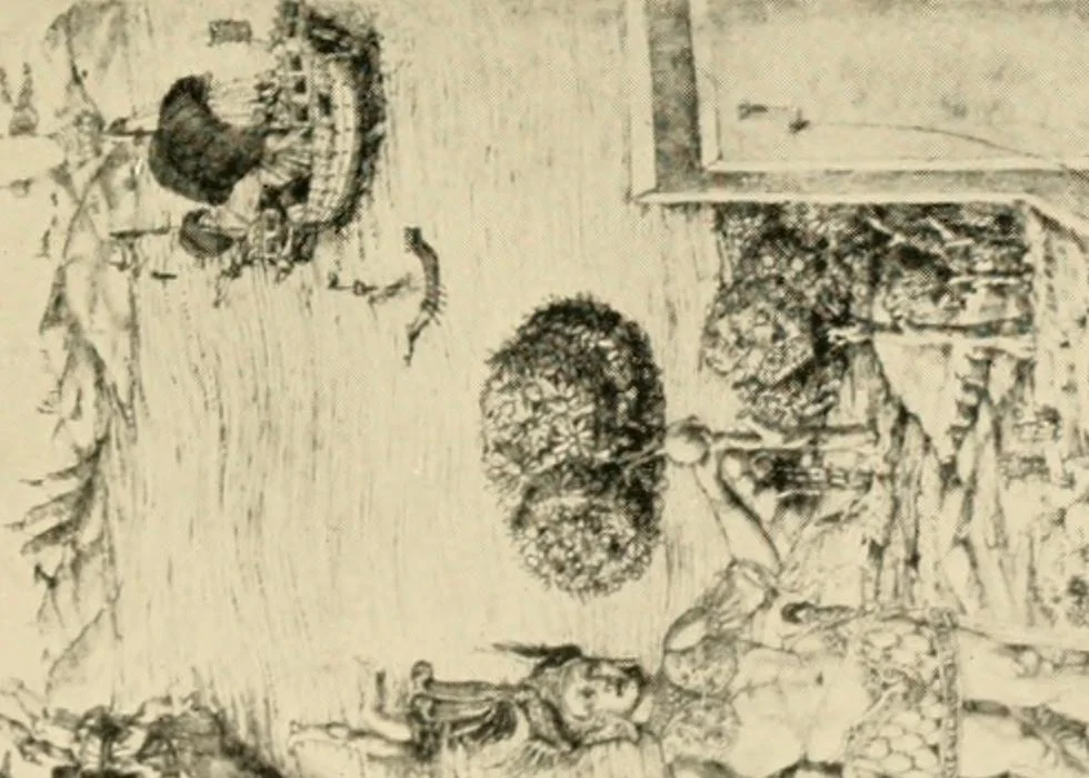 An illustration from Mazes and labyrinths : a general account of their history and developments, 1922, leaf 48
