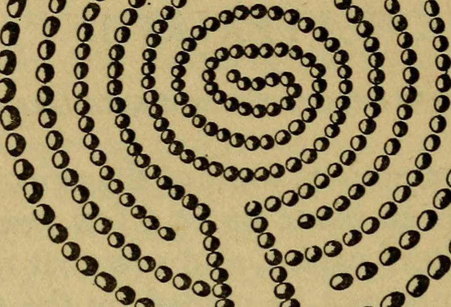 An illustration from Mazes and labyrinths; a general account of their history and developments, 1922, leaf 233