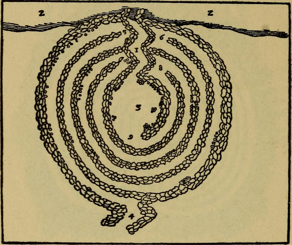 An illustration from Mazes and labyrinths; a general account of their history and developments, 1922, leaf 235