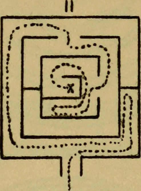 An illustration from Mazes and labyrinths; a general account of their history and developments, 1922, leaf 299