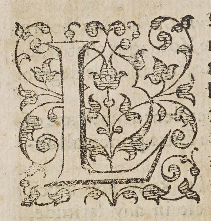 An illustration from M. Blundeuile his exercises, containing eight treatises, : the titles whereof are set downe in the next printed page: which treatises are verie necessarie to be read and learned of all yoong gentlemen that have not bene exercised in such disciplines, and yet are desirous to haue knowledge as well in cosmographie, astronomie, and geographie, as also in the arte of nauigation, in which arte it is impossible to profite without the helpe of these, or such like instructions., 1597, leaf 612