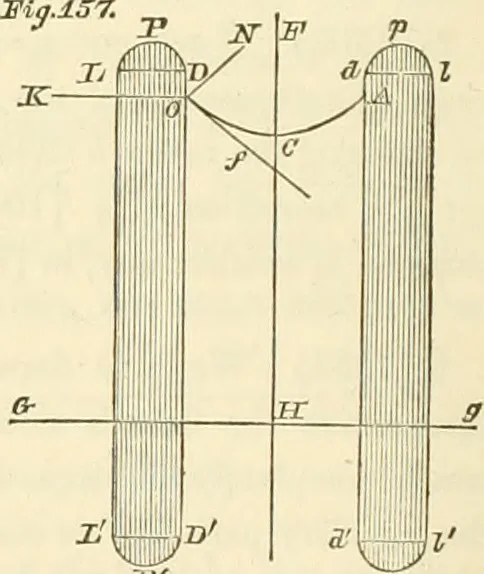 An illustration from Mécanique céleste, 1829, leaf 1089