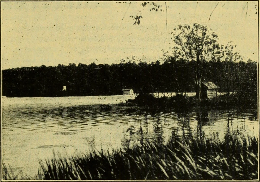 An illustration from McClary's wireless : September nineteen twenty-two, 1922, leaf 4
